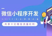 企业是否有必要开发小程序?解析企业开发小程序的必要性-网域信息开发各种软件系统-国际快递转运系统,商城系统,海外仓系统,各种小程序开发,APP开发