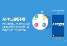 APP定制开发常见的问题-网域信息开发各种软件系统-国际快递转运系统,商城系统,海外仓系统,各种小程序开发,APP开发
