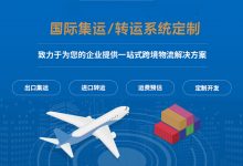 可按您的需求定制开发国际快递转运(网站)系统，服务更贴心，售后更给力！-网域信息开发各种软件系统-国际快递转运系统,商城系统,海外仓系统,各种小程序开发,APP开发