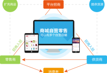 定制开发商城系统,以满足其特定的业务需求-网域信息开发各种软件系统-国际快递转运系统,商城系统,海外仓系统,各种小程序开发,APP开发