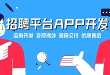 人才求职招聘平台APP开发与制作,支持海外使用,英语,法语,日语需要哪种语言您说了算-网域信息开发各种软件系统-国际快递转运系统,商城系统,海外仓系统,各种小程序开发,APP开发