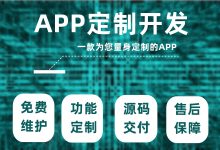 十六年IT工作经验为您定制开发APP-网域信息开发各种软件系统-国际快递转运系统,商城系统,海外仓系统,各种小程序开发,APP开发