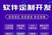 智能仓储PDA系统解决方案白皮书-网域信息开发各种软件系统-国际快递转运系统,商城系统,海外仓系统,各种小程序开发,APP开发