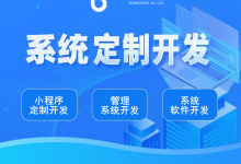 定制化跨境仓储系统中枢:让wms海外仓系统100%匹配您的业务基因-网域信息开发各种软件系统-国际快递转运系统,商城系统,海外仓系统,各种小程序开发,APP开发