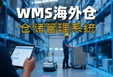 海外仓储系统：WMS赋能海外仓，开启智能化管理新纪元-网域信息开发各种软件系统-国际快递转运系统,商城系统,海外仓系统,各种小程序开发,APP开发