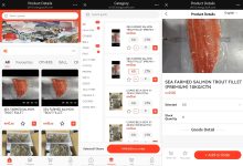 马来西亚中小电商,如何用WMS仓库管理系统将仓储出错率降低30%?-网域信息开发各种软件系统-国际快递转运系统,商城系统,海外仓系统,各种小程序开发,APP开发