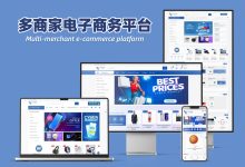 构建您的全球化多商户电商平台:一套经市场验证的成熟系统-网域信息开发各种软件系统-国际快递转运系统,商城系统,海外仓系统,各种小程序开发,APP开发