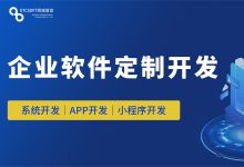深耕定制开发近 20 年，让企业彻底告别 SaaS 痛点，掌握系统自主权-网域信息开发各种软件系统-国际快递转运系统,商城系统,海外仓系统,各种小程序开发,APP开发