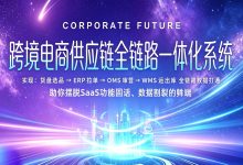 跨境供应链全链路一体化IES系统定制开发-网域信息开发各种软件系统-国际快递转运系统,商城系统,海外仓系统,各种小程序开发,APP开发