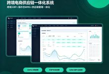 跨境 ERP 海外仓一体化系统｜多平台店铺对接 跨境供应链管理方案-网域信息开发各种软件系统-国际快递转运系统,商城系统,海外仓系统,各种小程序开发,APP开发